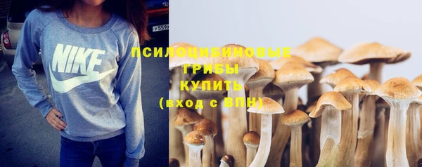 шишки Снежинск