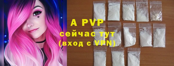 амф Сосновый Бор