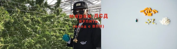шишки Снежинск