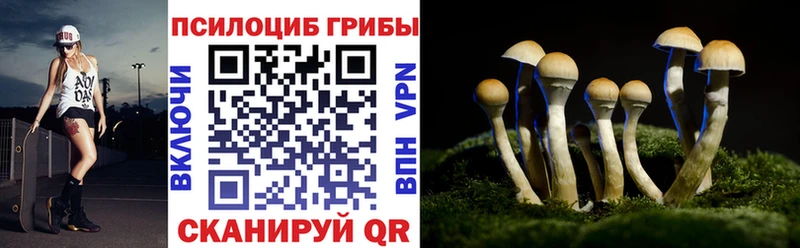 Псилоцибиновые грибы мицелий  Купить где  Неман 